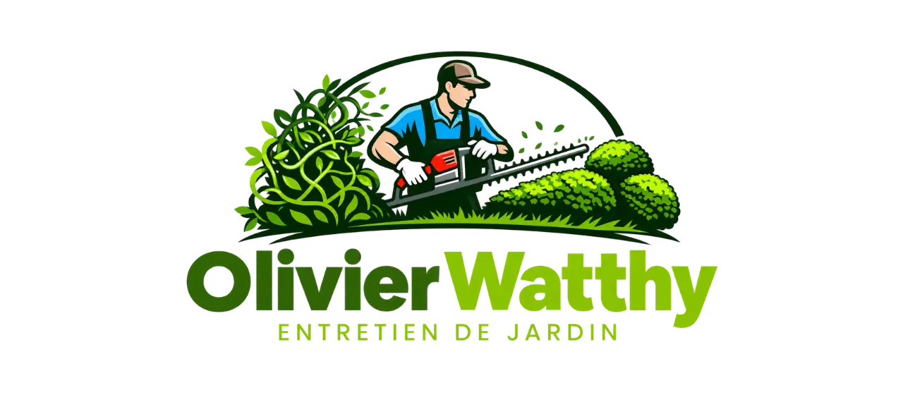 Olivier Watthy
